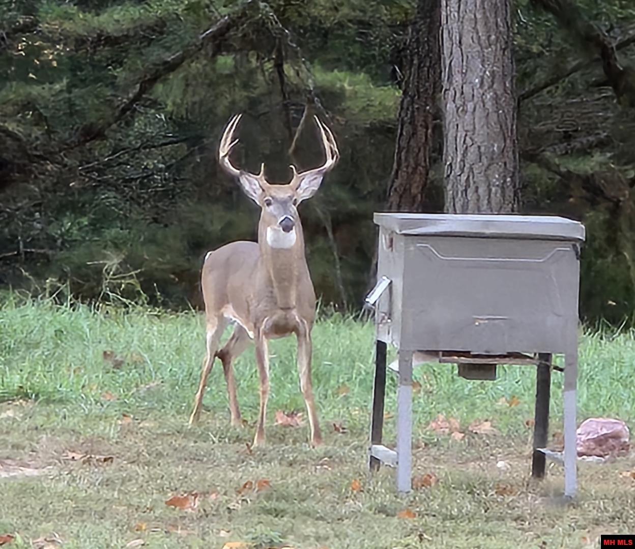 899 HIGH COUNTRY LANE Mountain Home, AR