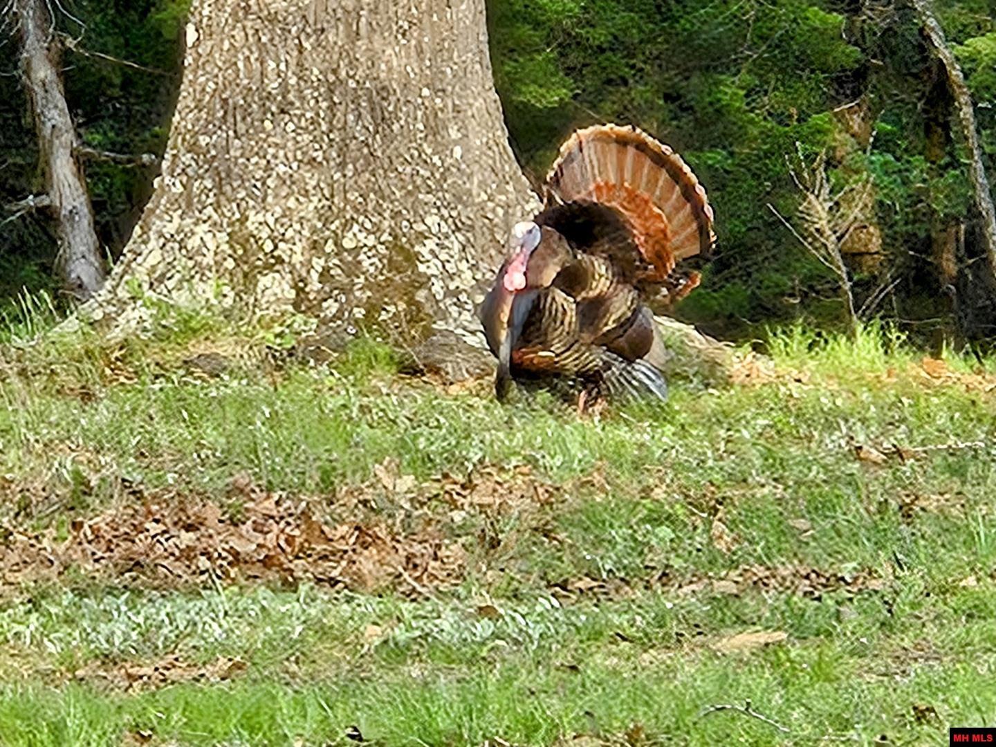 899 HIGH COUNTRY LANE Mountain Home, AR