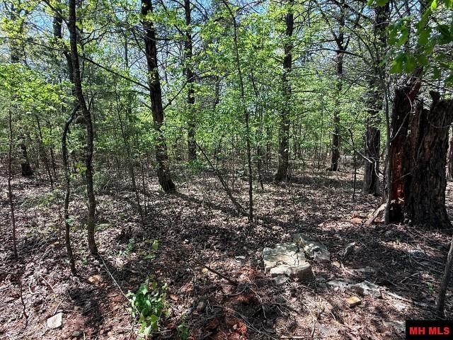 2532 Jordan Landing Road