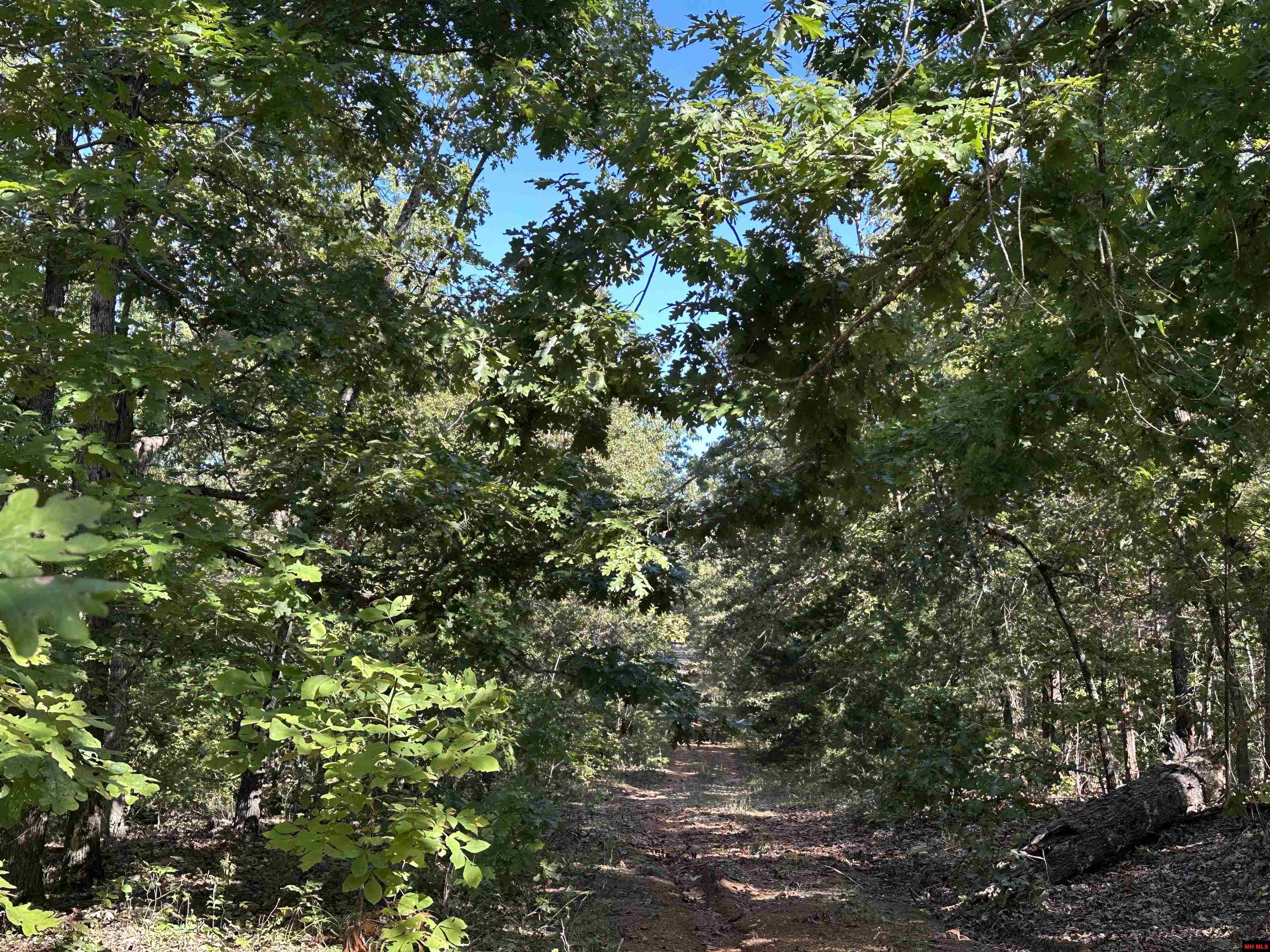 1609 Old Strawberry Lane