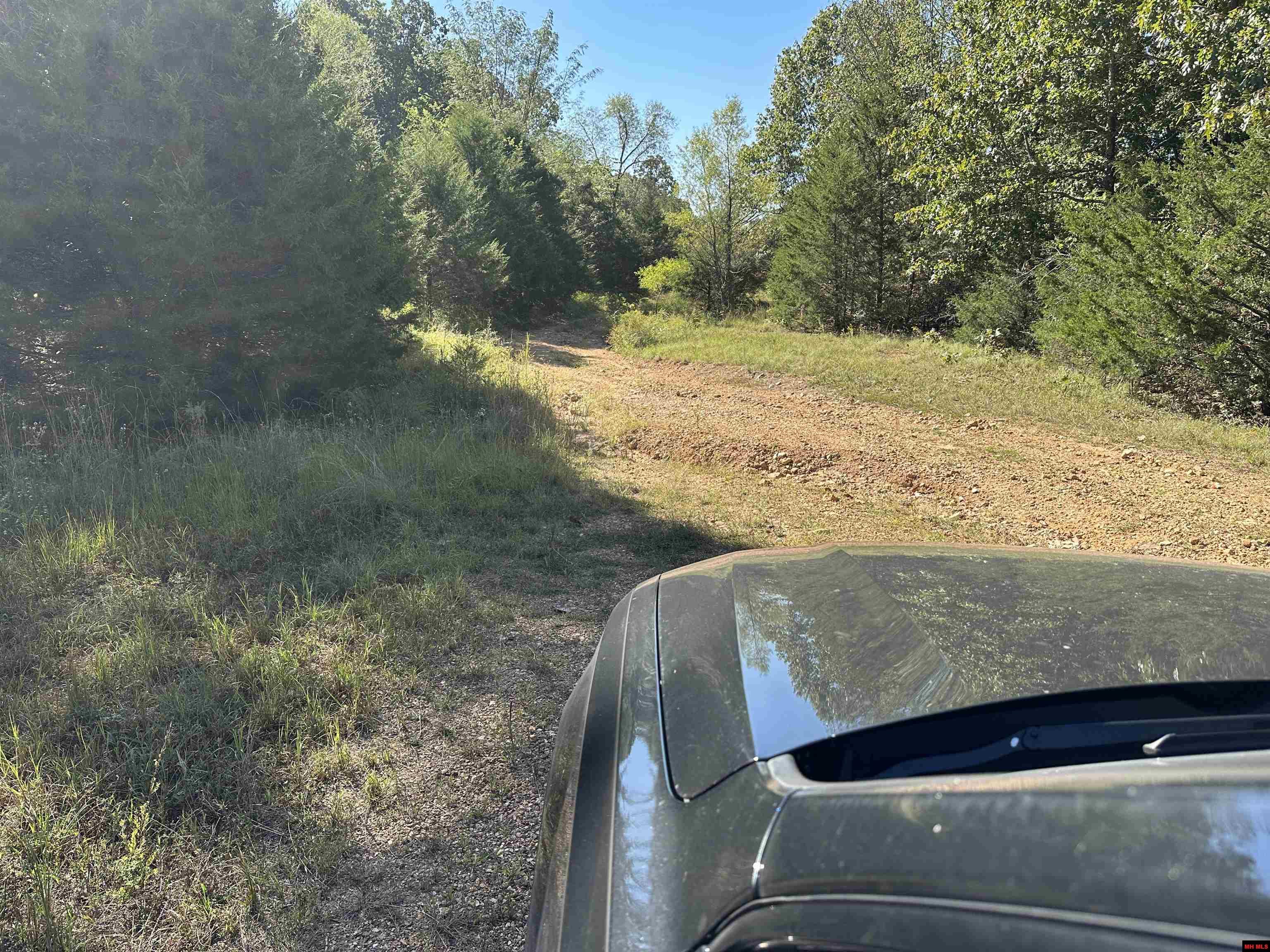 1609 Old Strawberry Lane