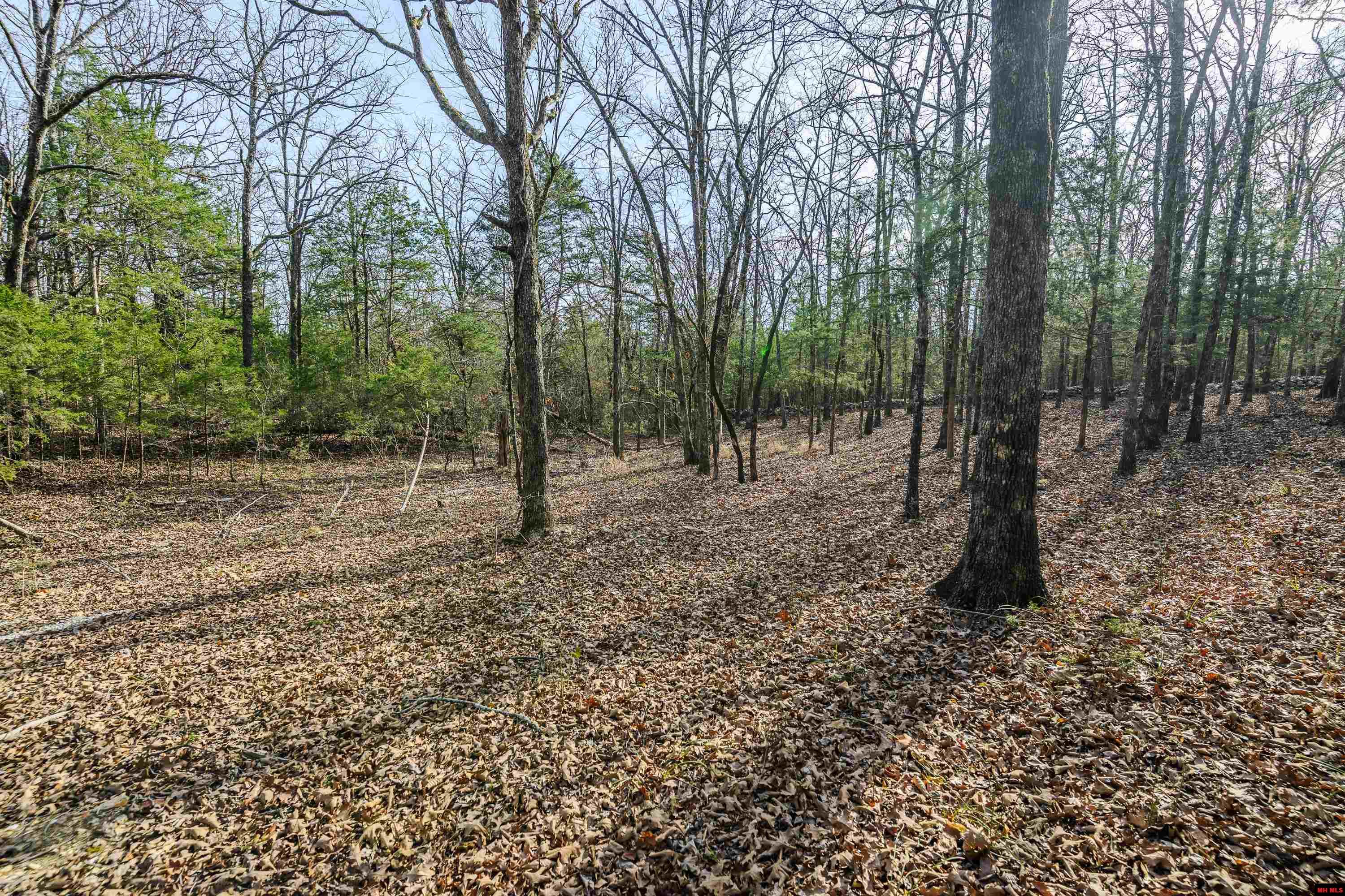 857 MC 7033 Flippin, AR