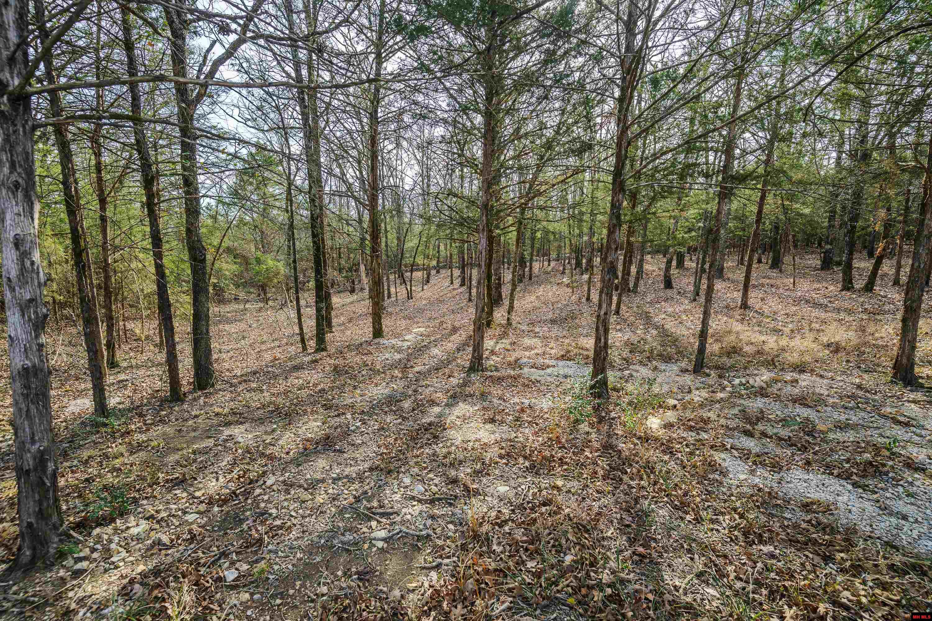 857 MC 7033 Flippin, AR