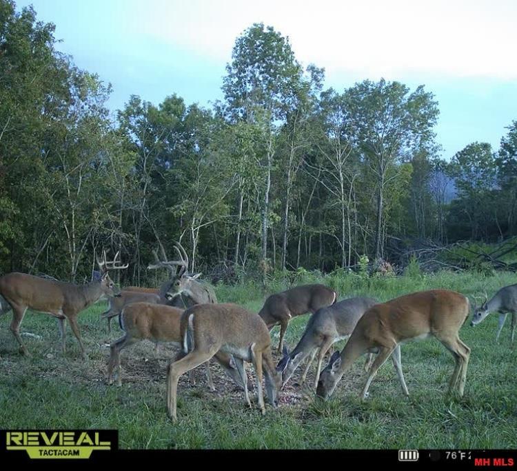 001-08324-001 Mc 3024