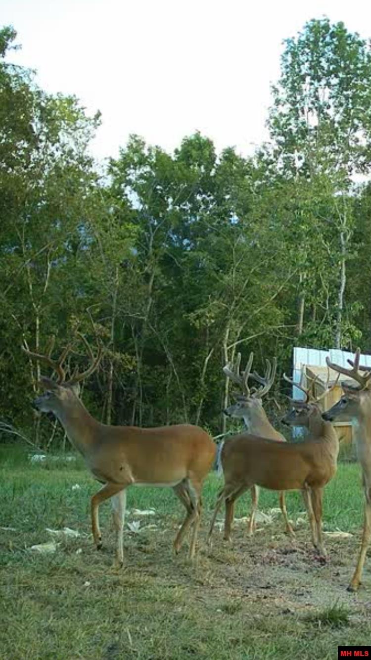 001-08324-001 Mc 3024