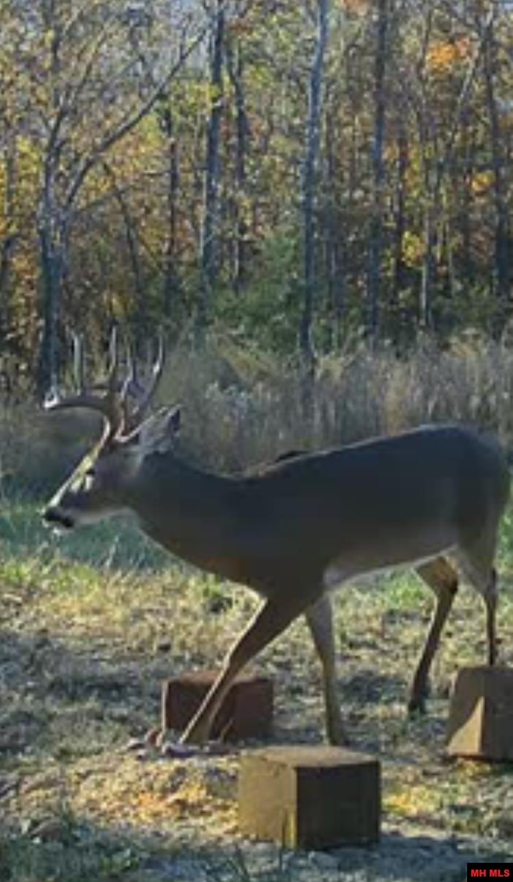 001-08324-001 Mc 3024