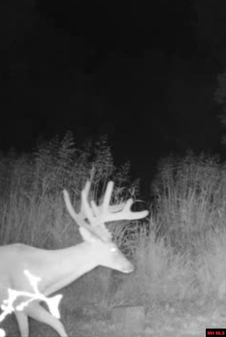 001-08324-001 Mc 3024