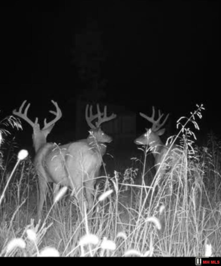 001-08324-001 Mc 3024