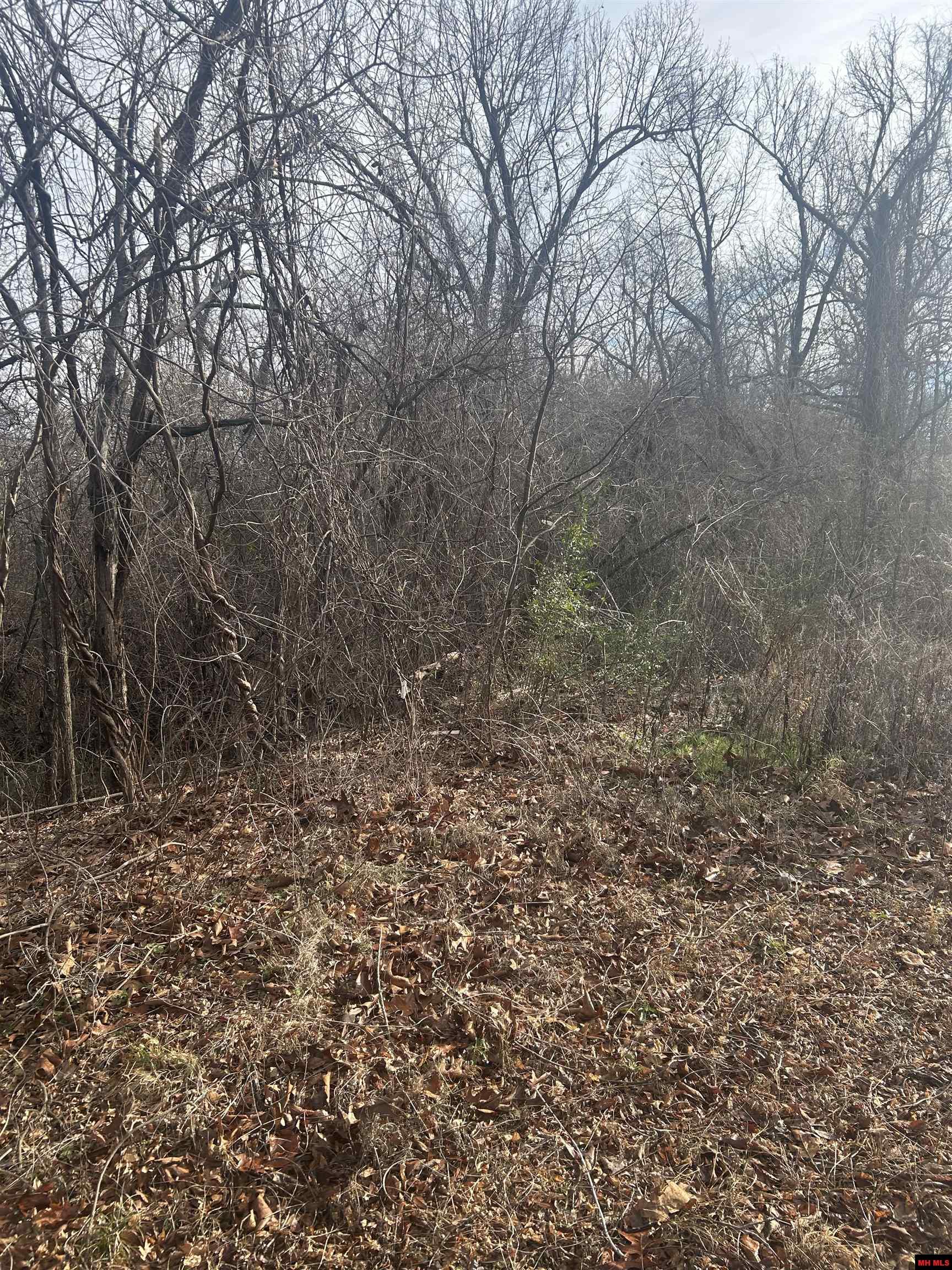 97 Forest Park Drive