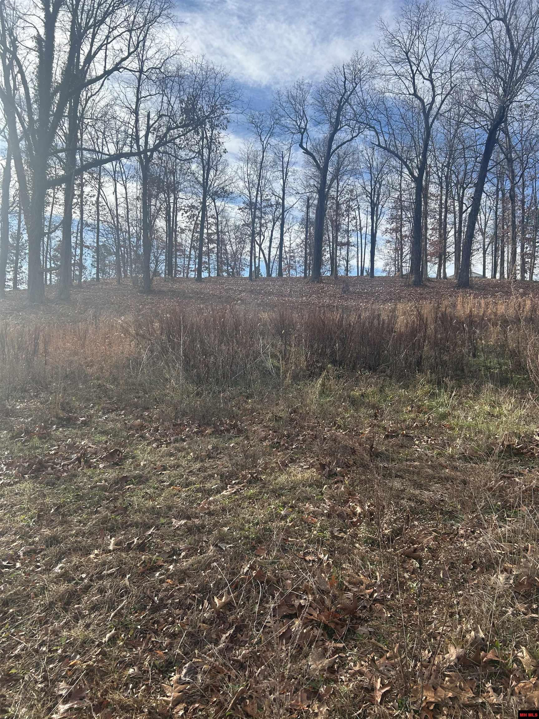 97 Forest Park Drive