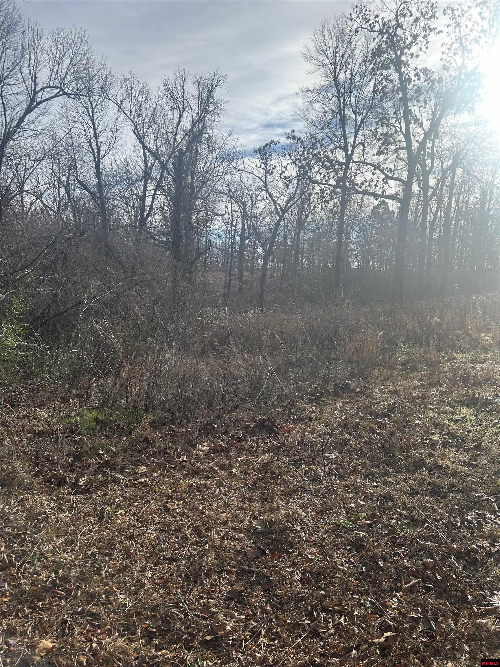 97 Forest Park Drive