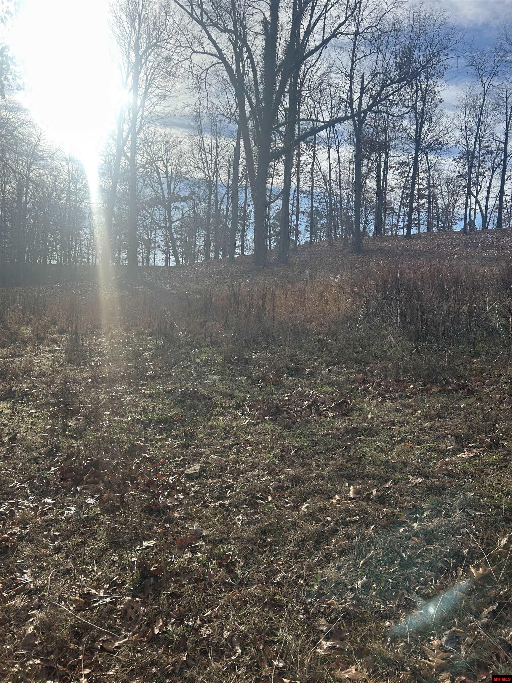 97 Forest Park Drive