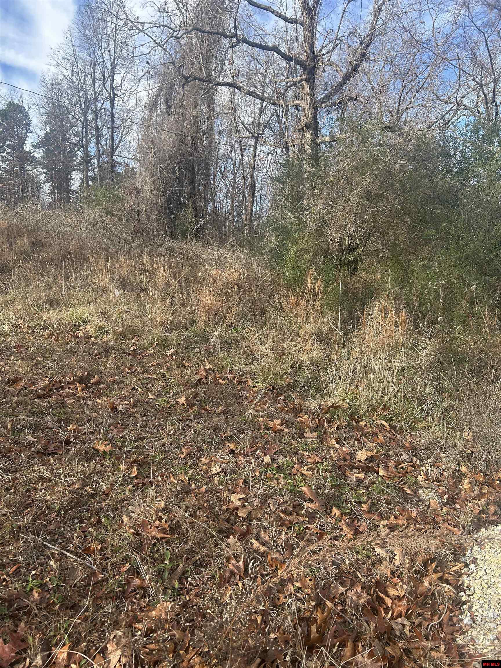 97 Forest Park Drive