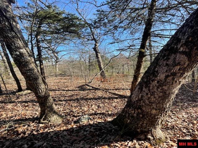 1313 Zone Ridge Lane