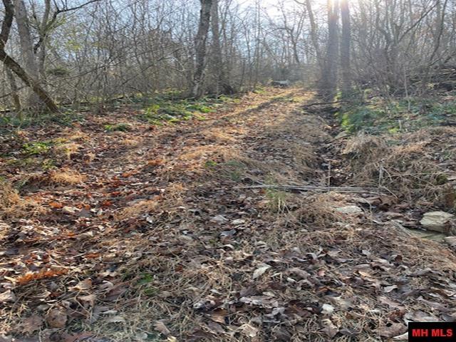 1313 Zone Ridge Lane