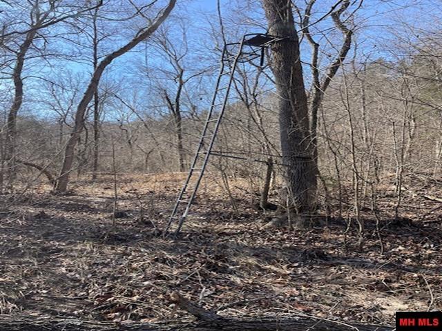 1313 Zone Ridge Lane