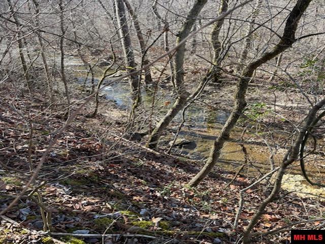 1313 Zone Ridge Lane