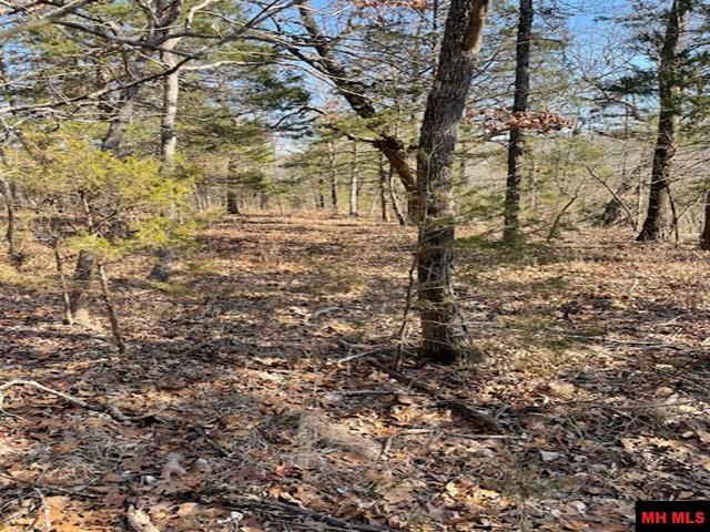 1313 Zone Ridge Lane