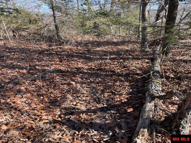 1313 Zone Ridge Lane