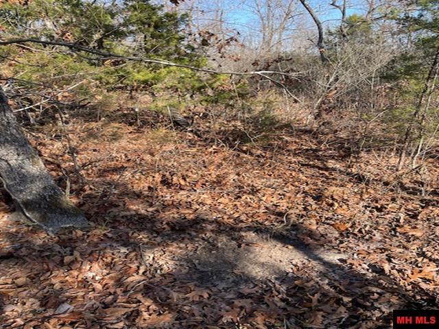 1313 Zone Ridge Lane