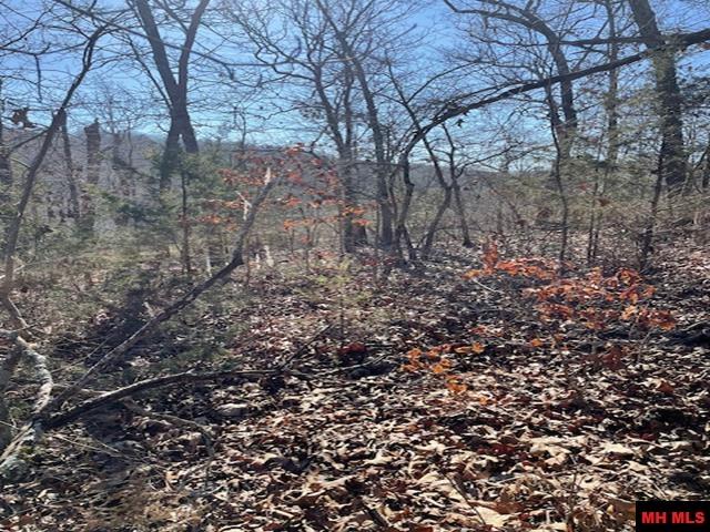 1313 Zone Ridge Lane