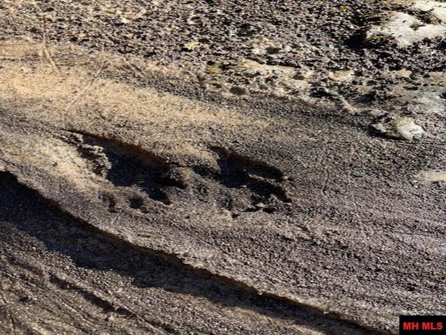 1313 Zone Ridge Lane