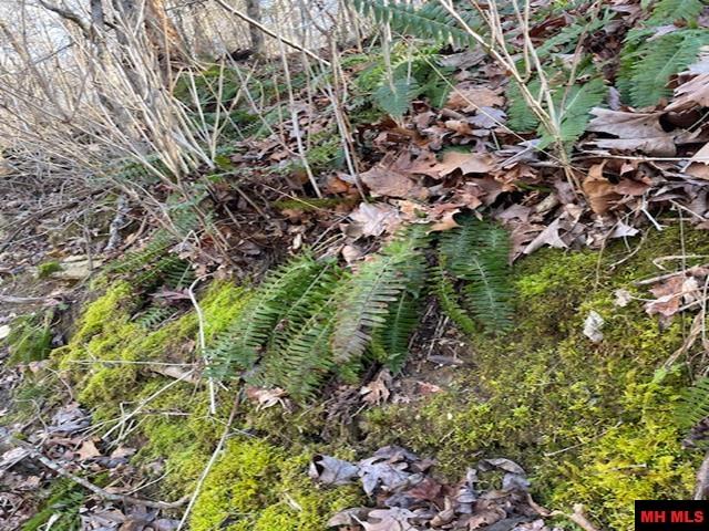 1313 Zone Ridge Lane