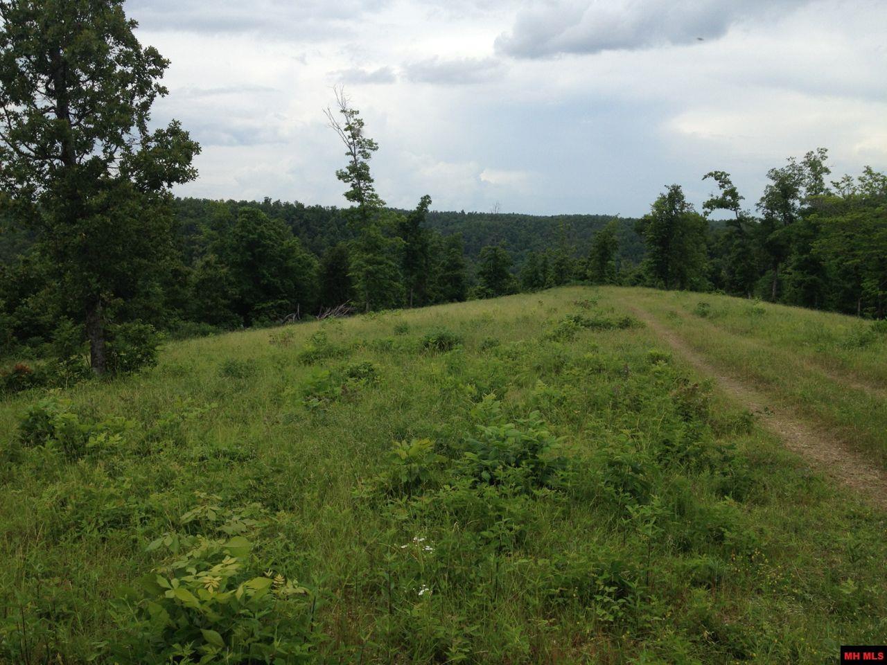 001-00404-003 Tater Knob Lane