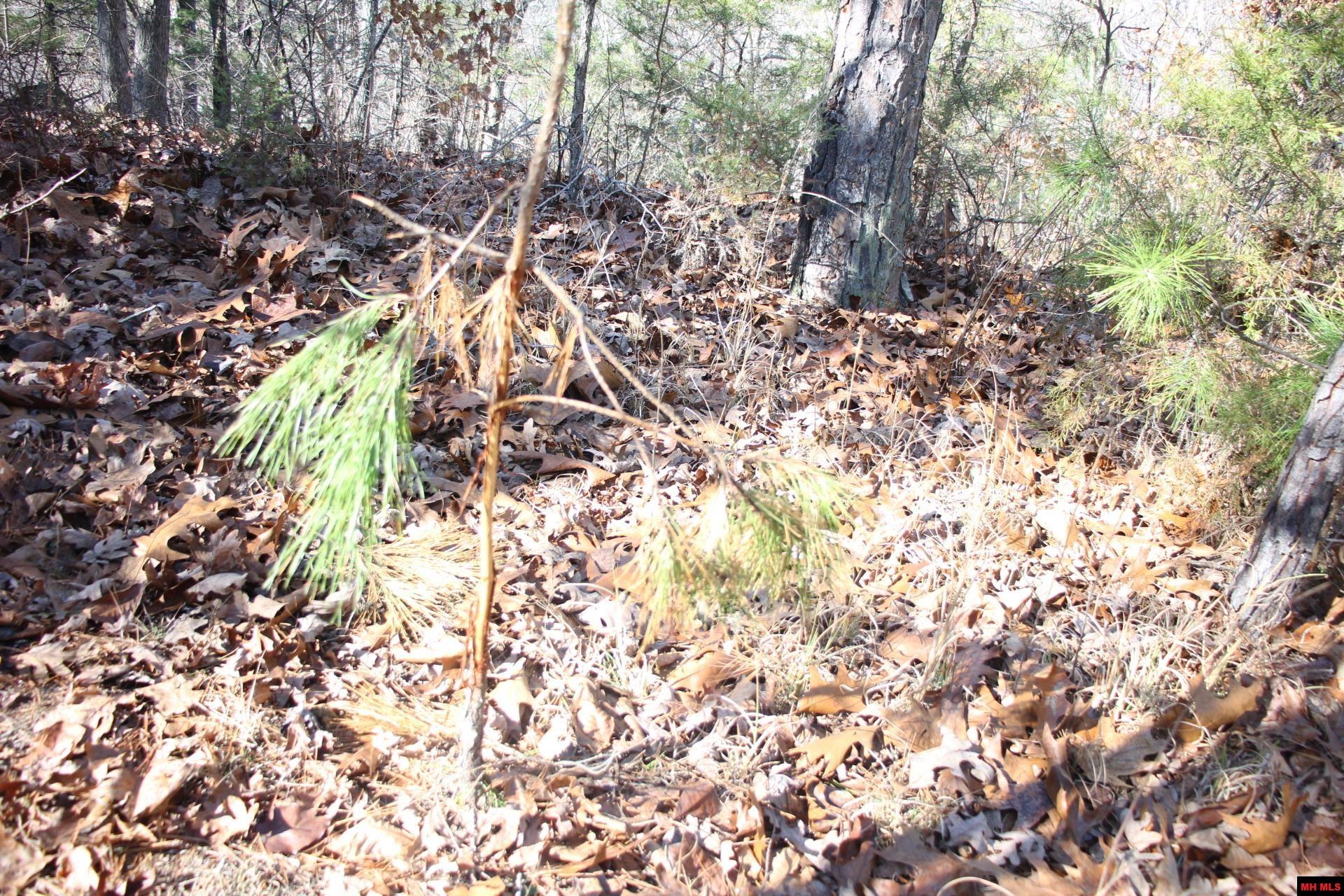 001-00404-003 Tater Knob Lane