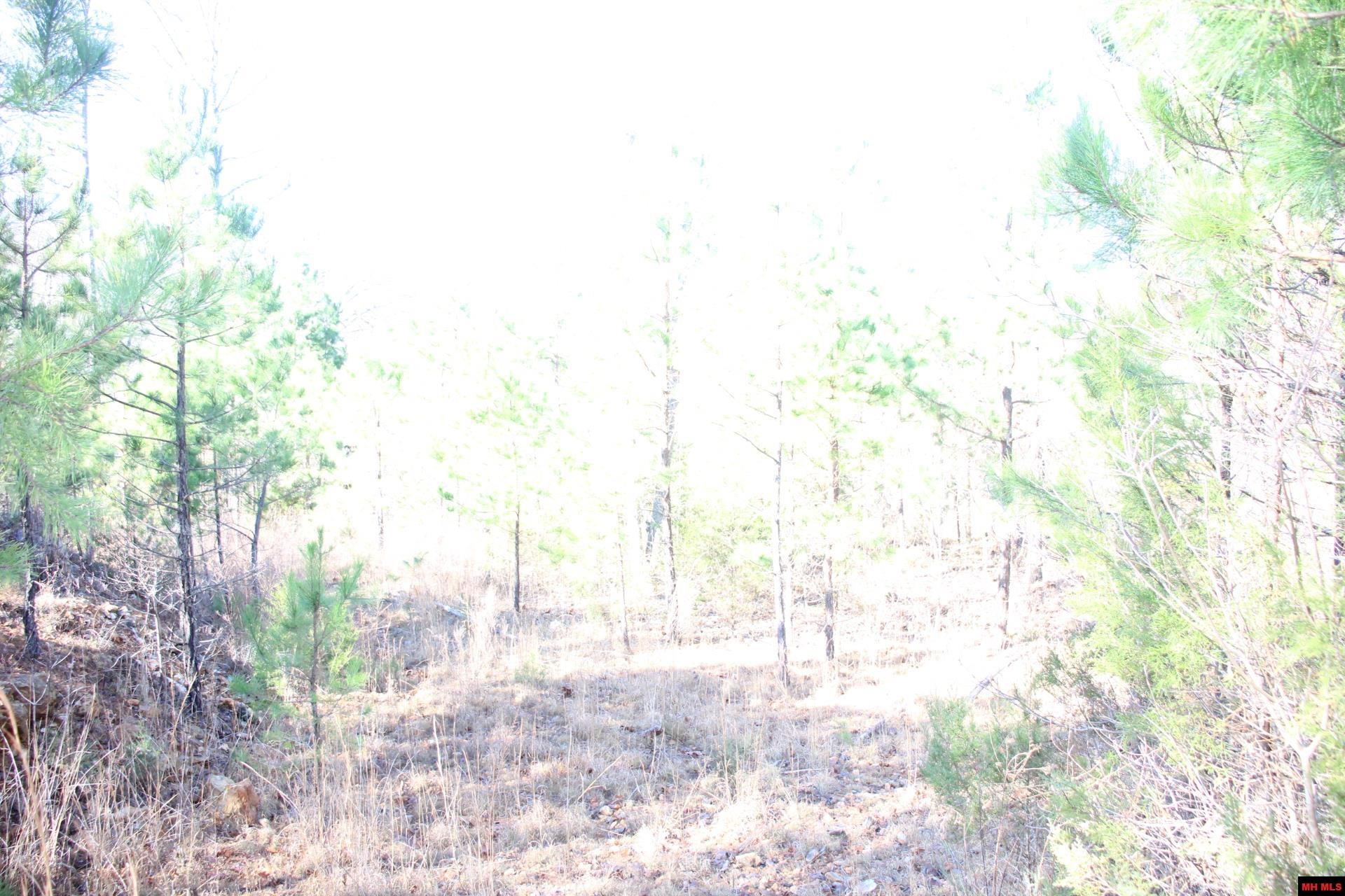 001-00404-003 Tater Knob Lane