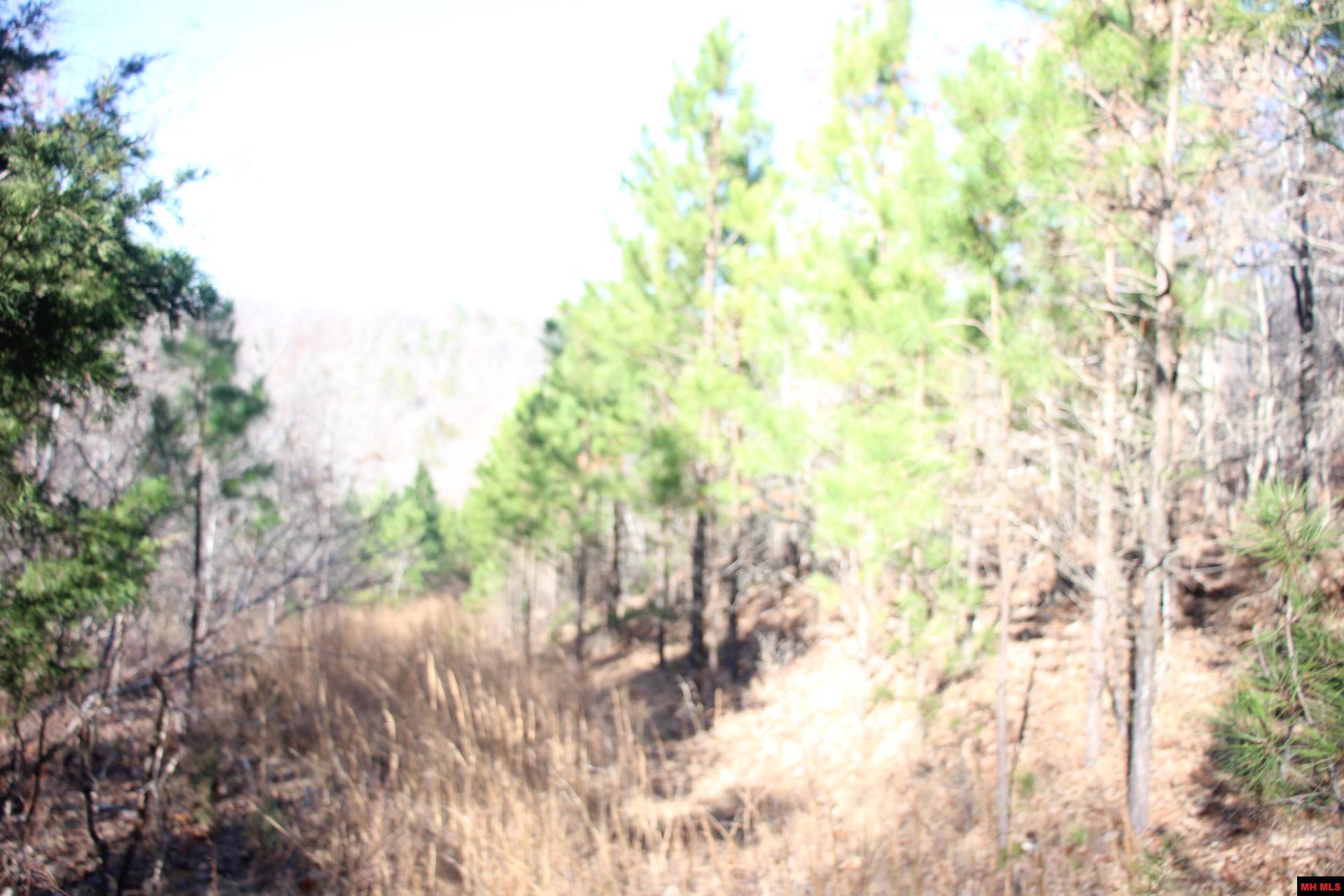 001-00404-003 Tater Knob Lane