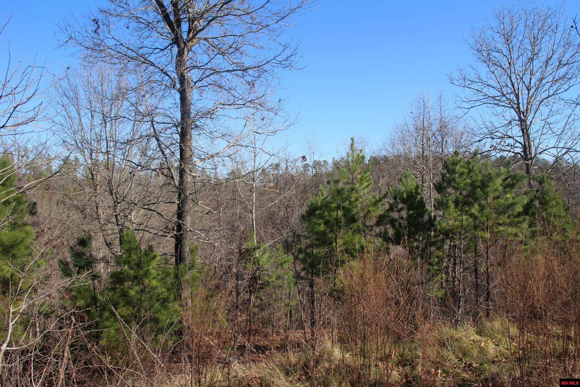 001-00404-003 Tater Knob Lane