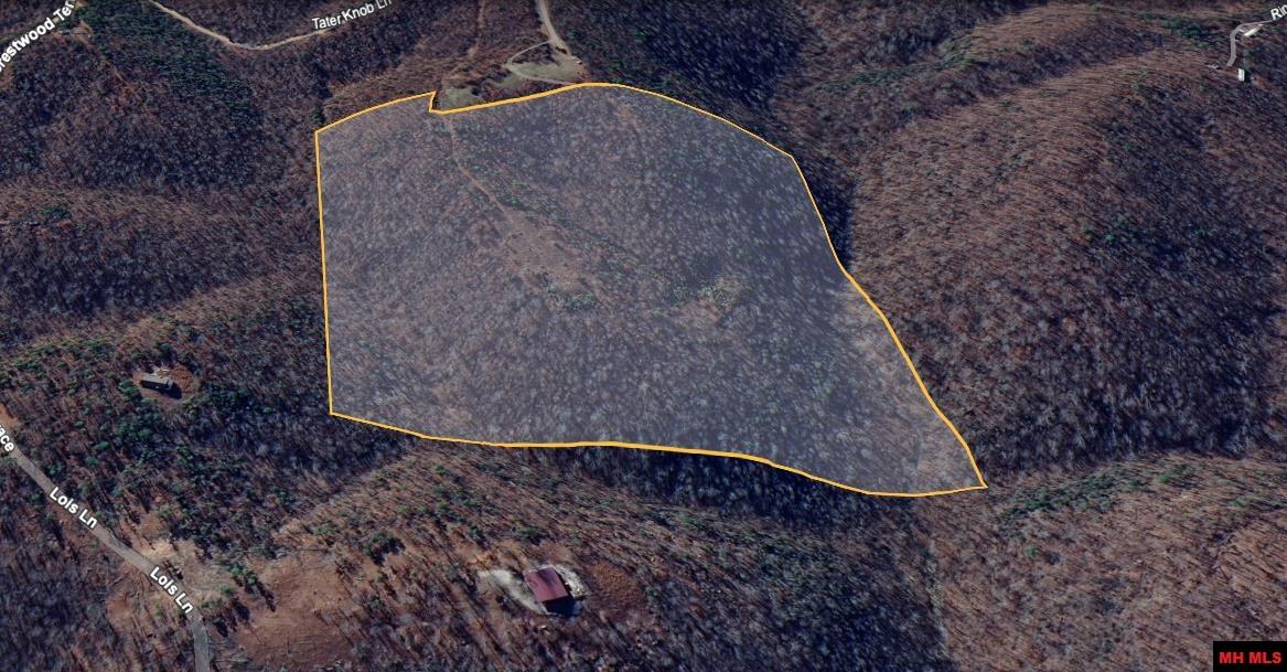 001-00404-003 Tater Knob Lane