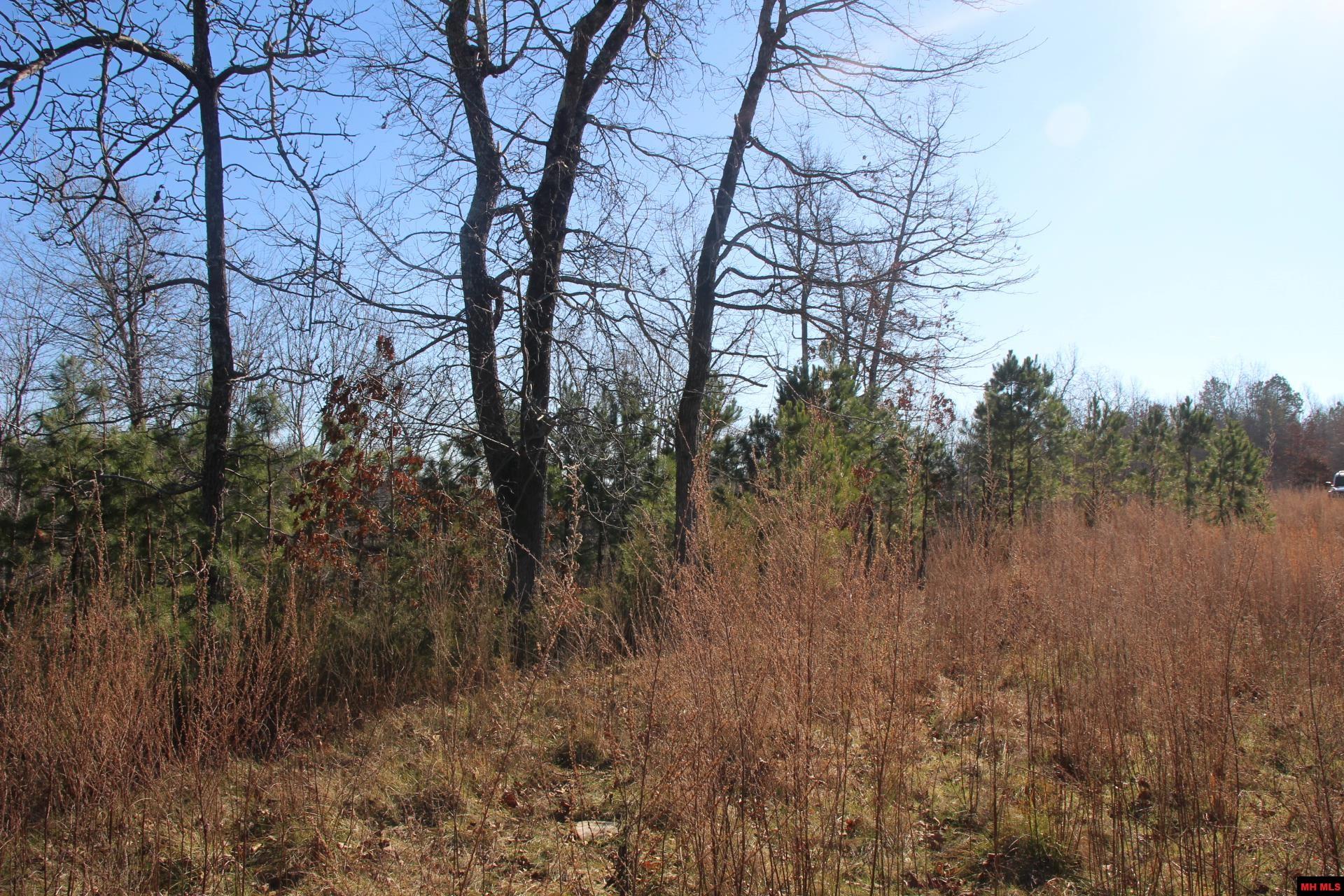 001-00404-003 Tater Knob Lane