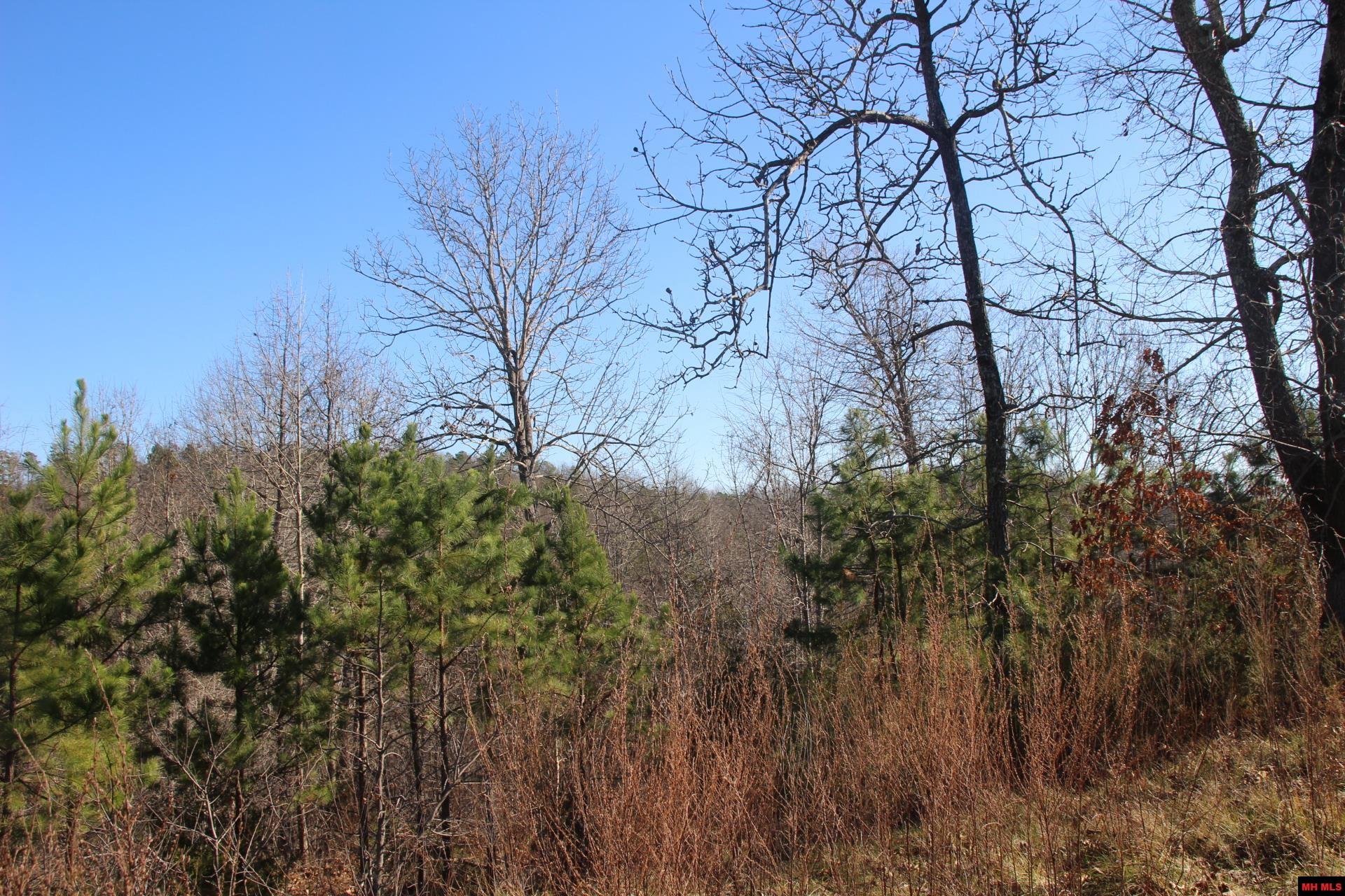 001-00404-003 Tater Knob Lane