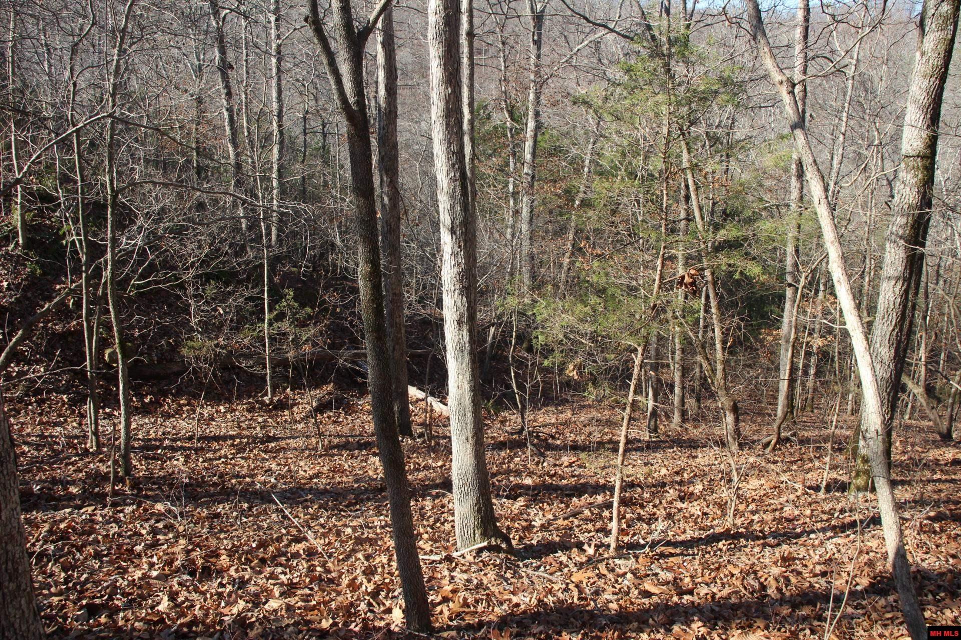 001-00404-003 Tater Knob Lane