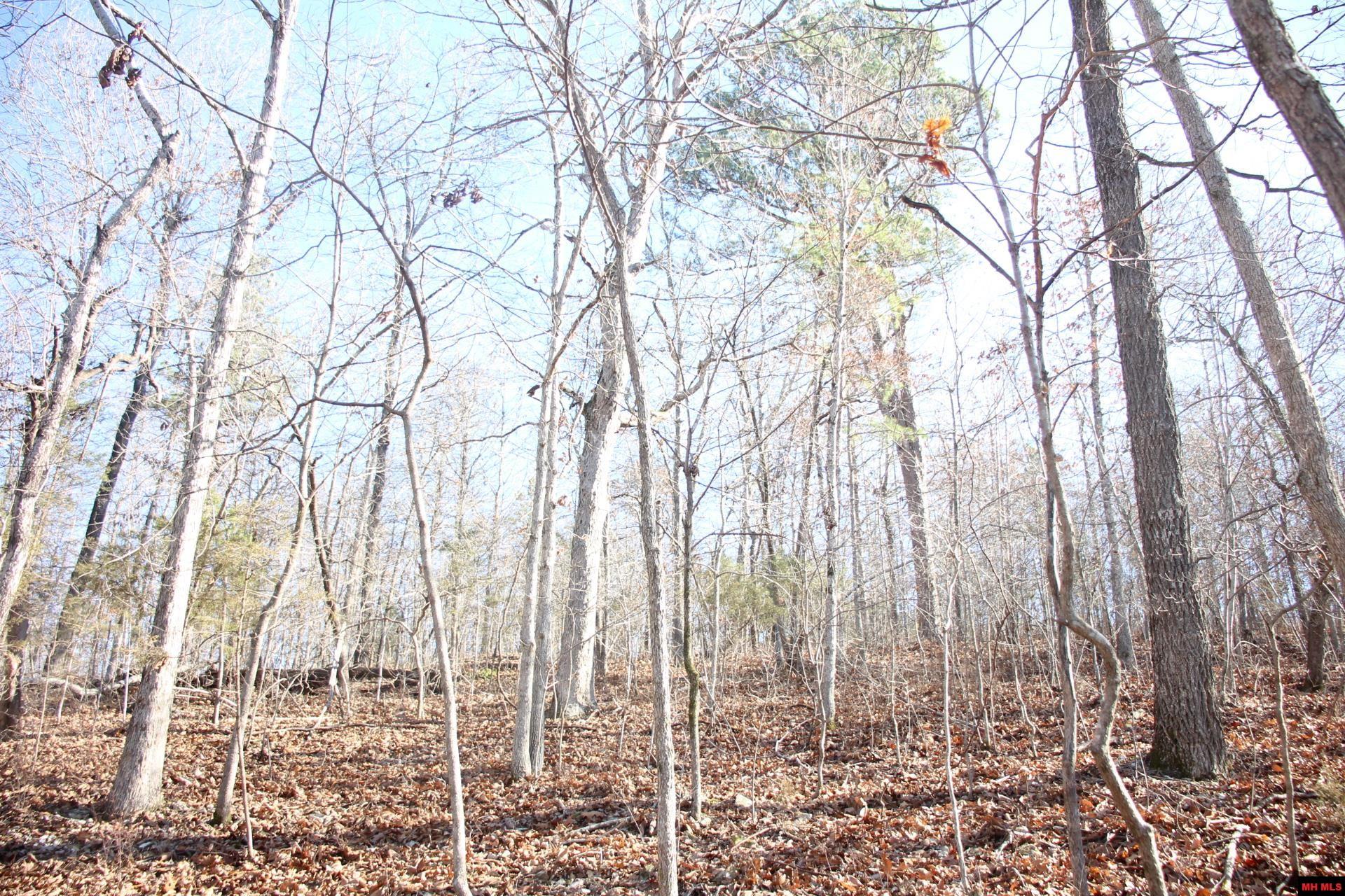 001-00404-003 Tater Knob Lane