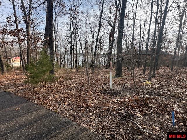 Lot 12 Lakeview Circle