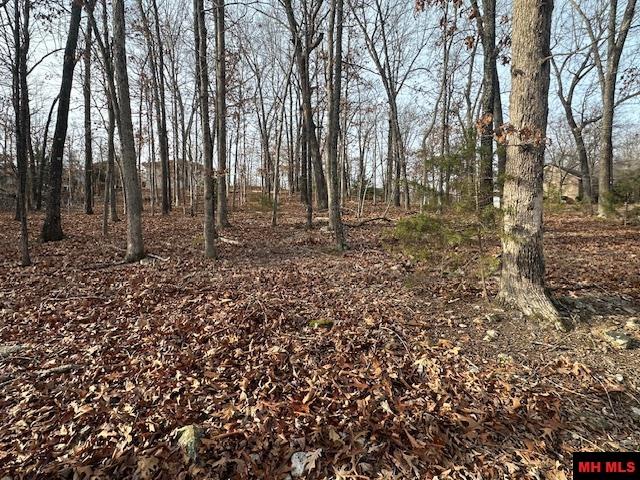 Lot 12 Lakeview Circle