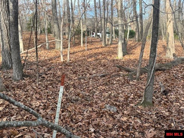 Lot 12 Lakeview Circle