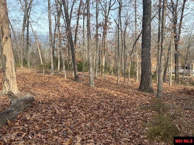 Lot 12 Lakeview Circle