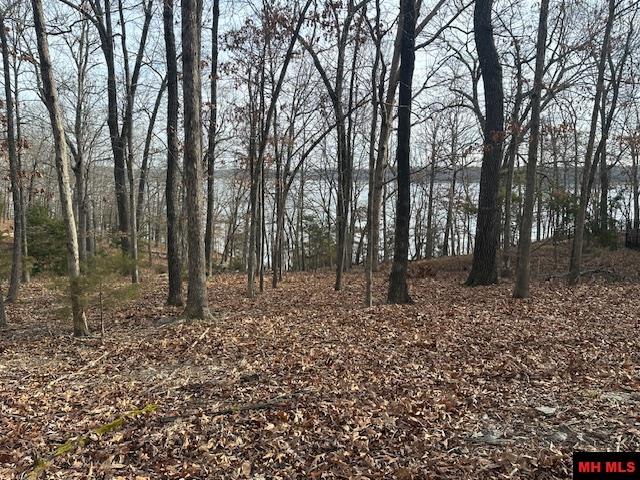Lot 12 Lakeview Circle