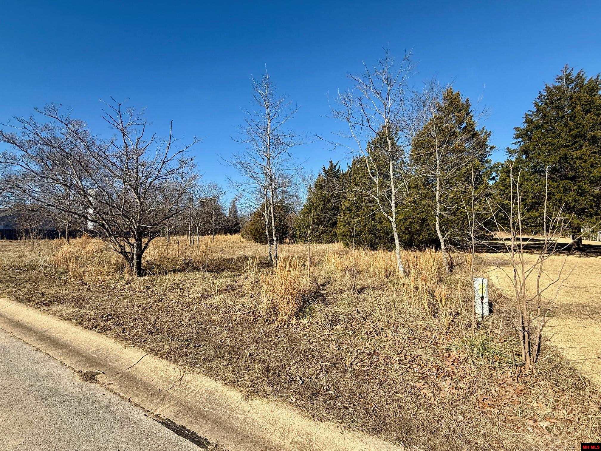 761 00065 000 Winterview