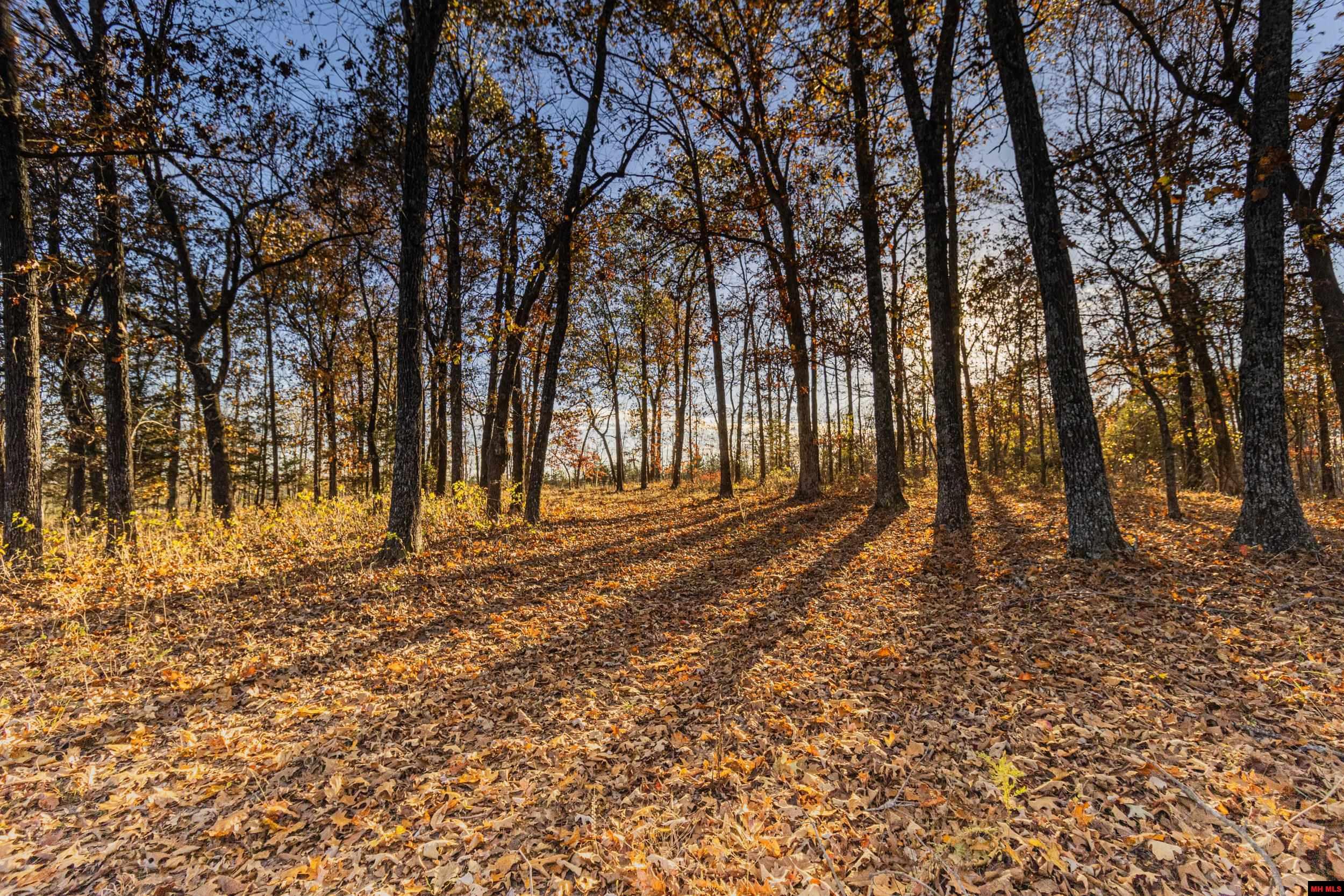 Tract 17 Providence Ridge Road