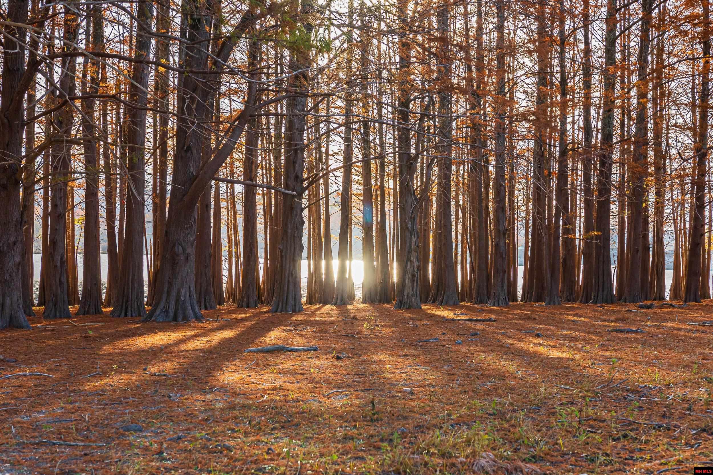 Tract 17 Providence Ridge Road