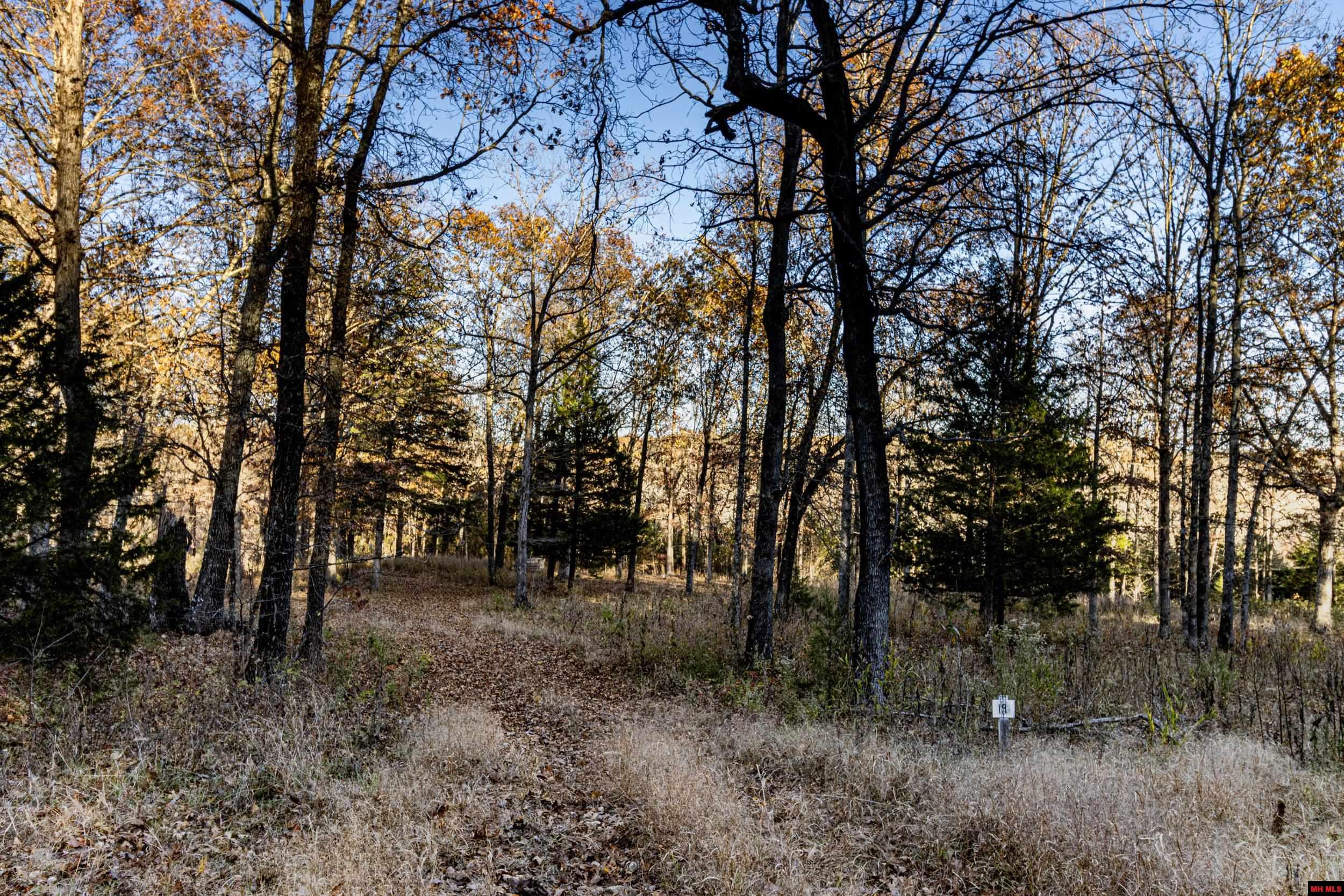 Tract 19 Providence Ridge Road