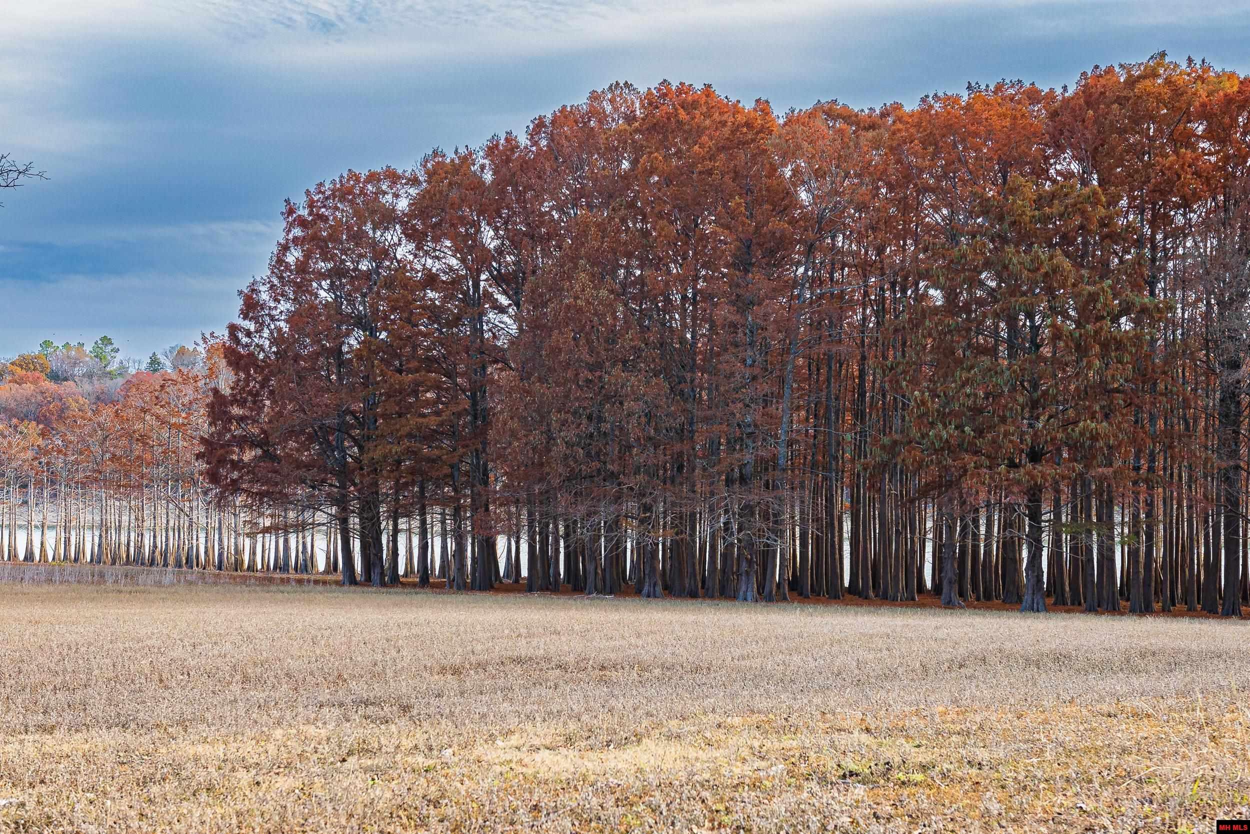 Tract 19 Providence Ridge Road