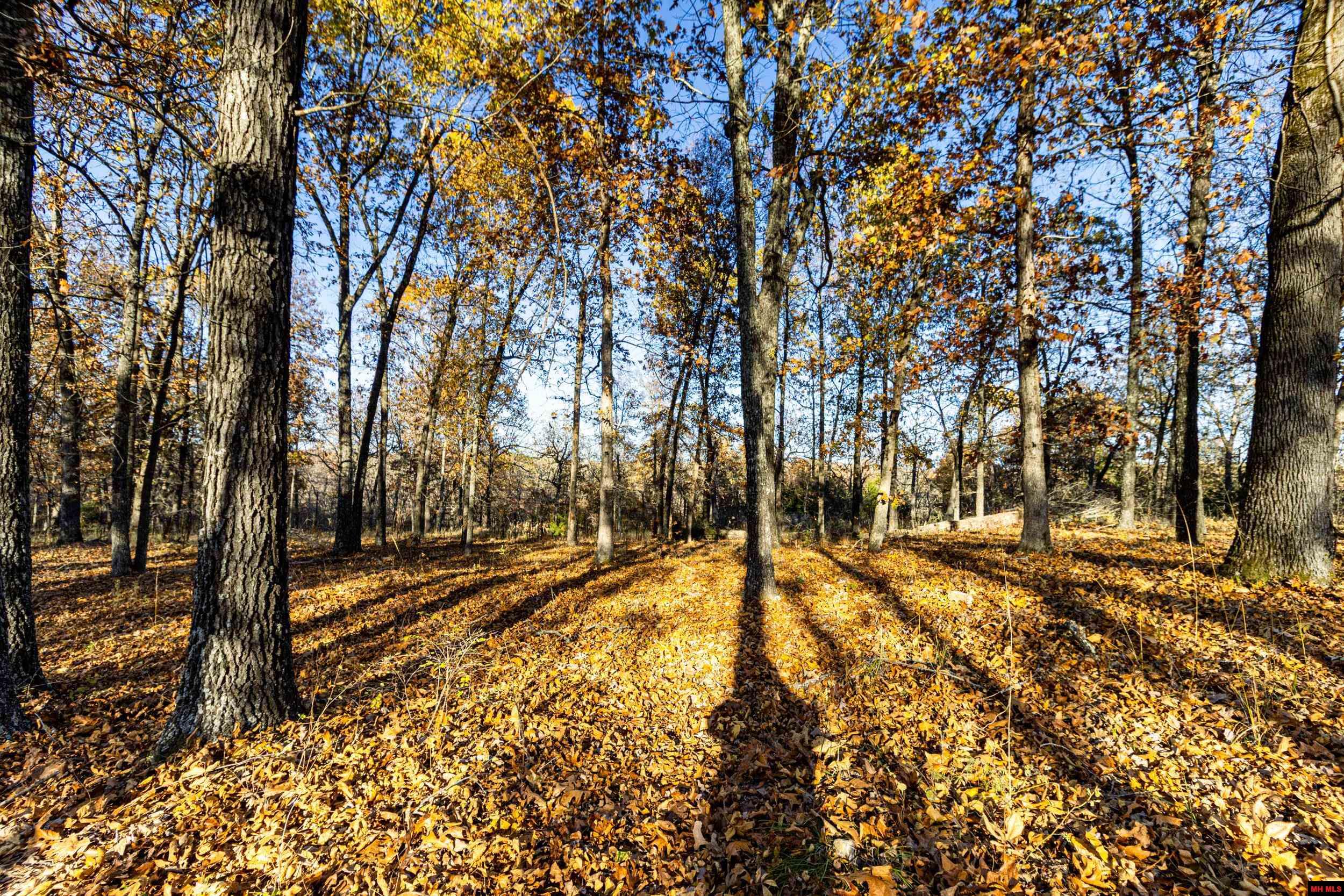 Tract 19 Providence Ridge Road