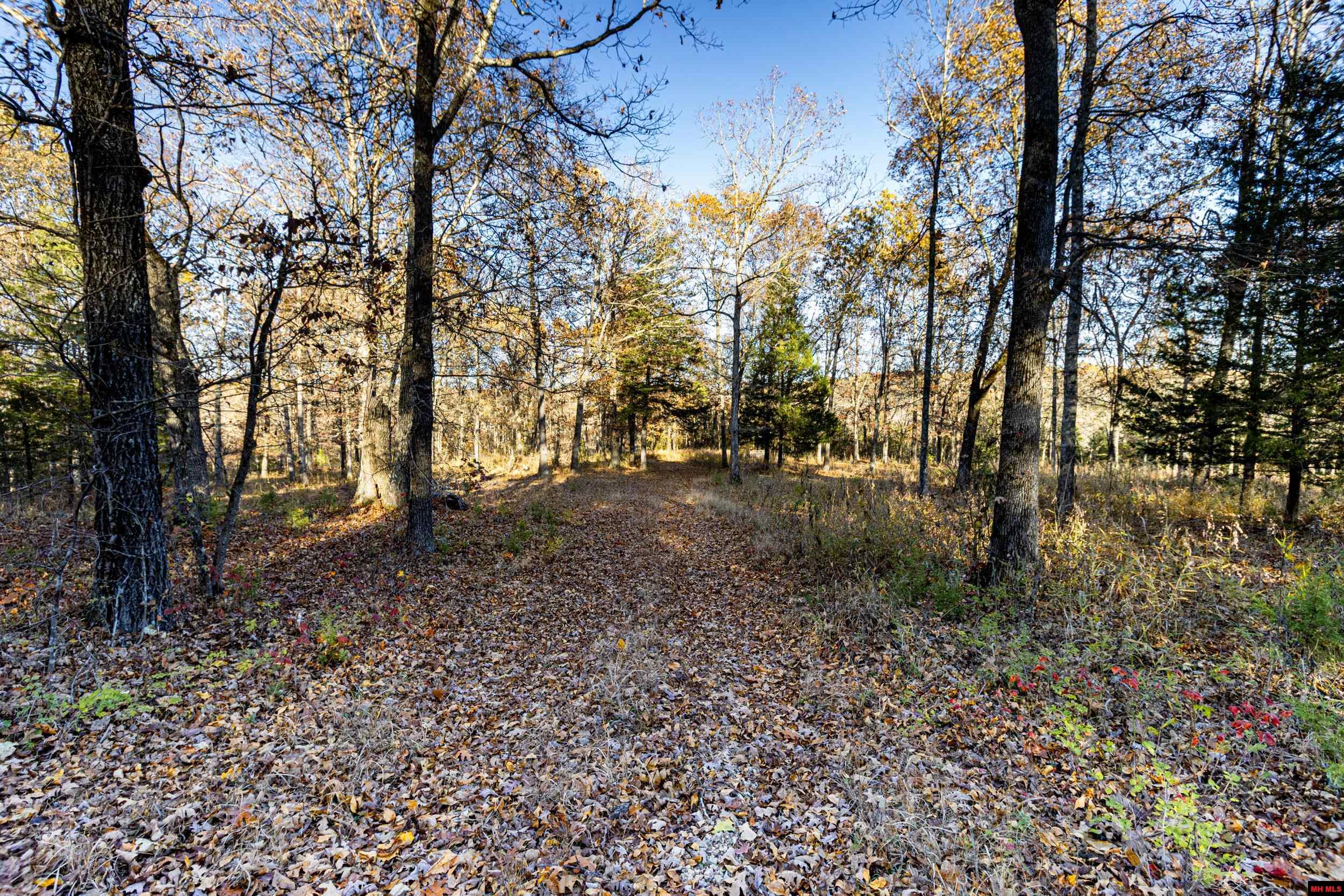 Tract 19 Providence Ridge Road