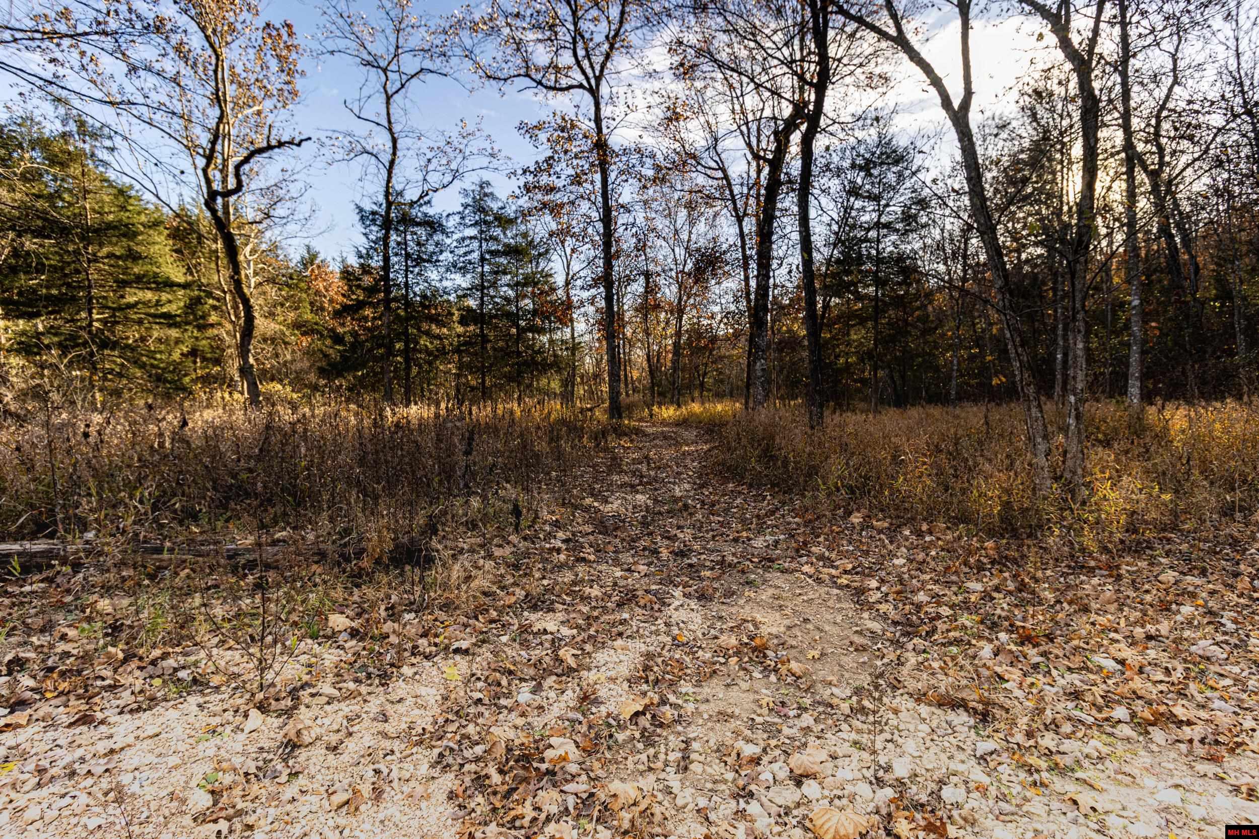 Tract 20 Providence Ridge Road